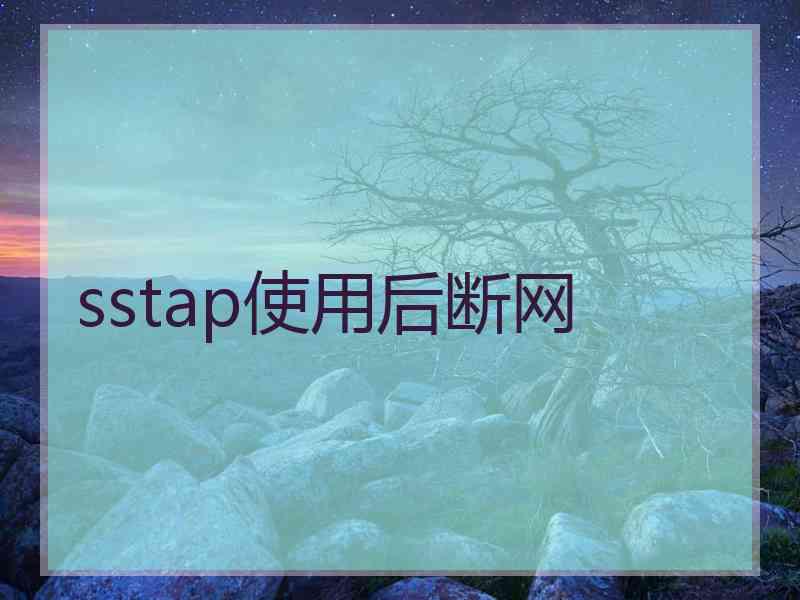 sstap使用后断网