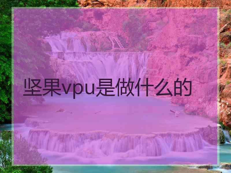 坚果vpu是做什么的