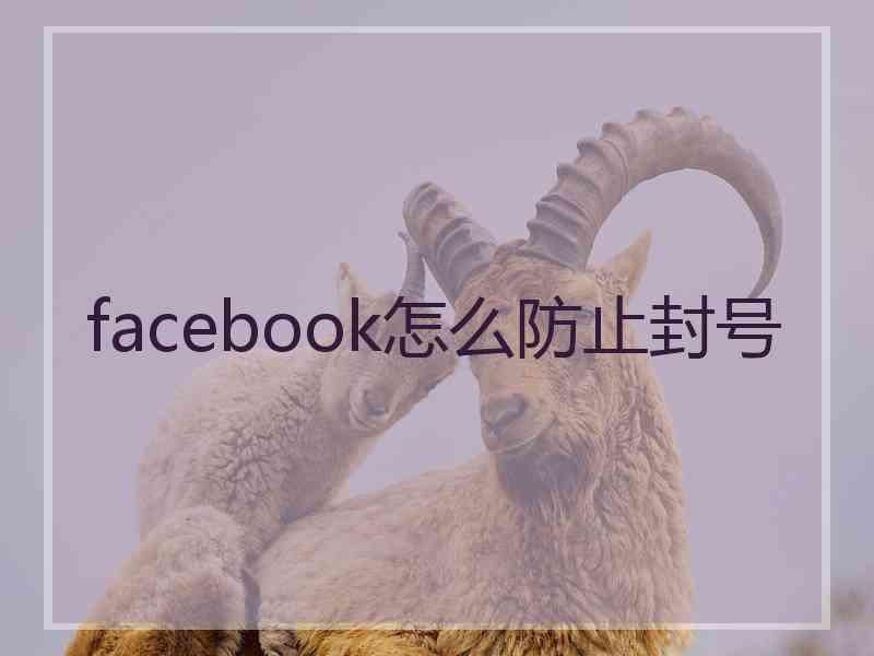 facebook怎么防止封号