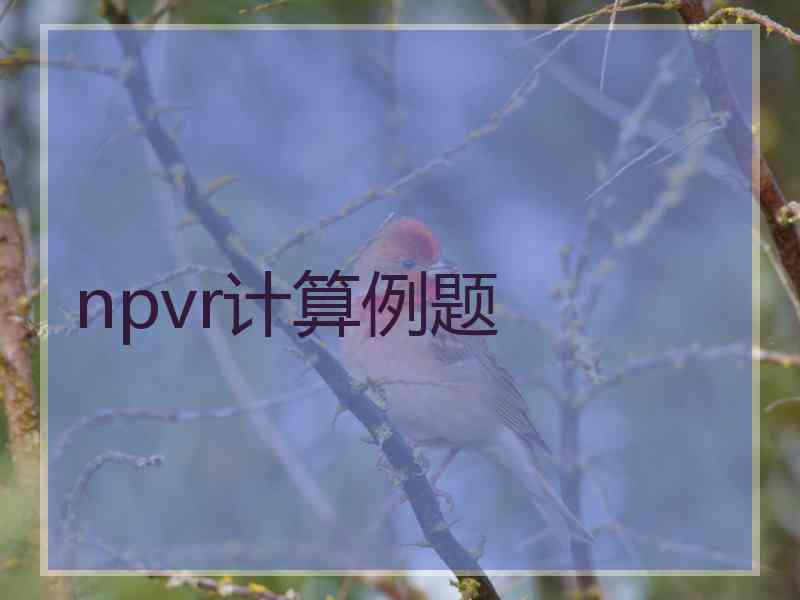 npvr计算例题