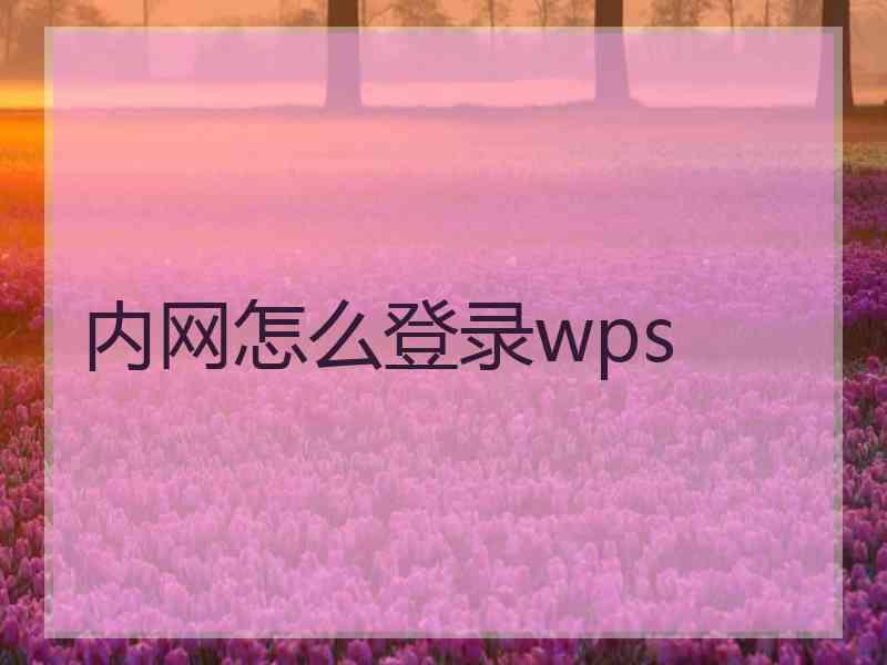 内网怎么登录wps