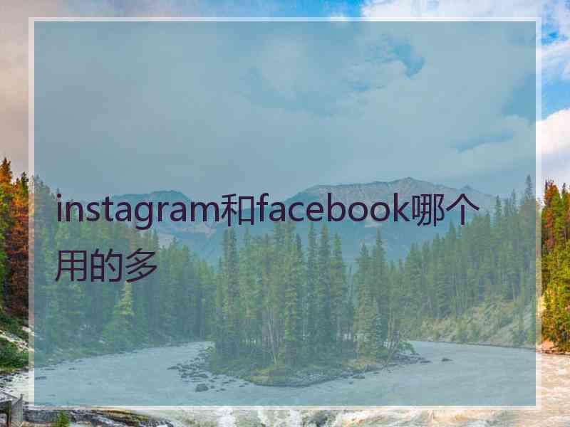 instagram和facebook哪个用的多