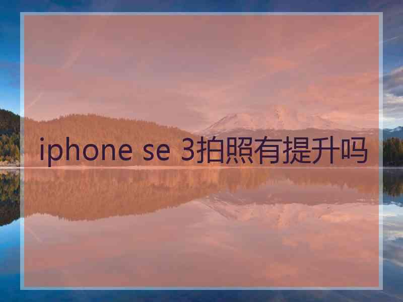 iphone se 3拍照有提升吗