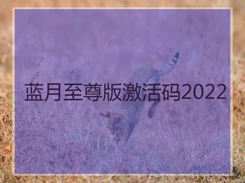 蓝月至尊版激活码2022