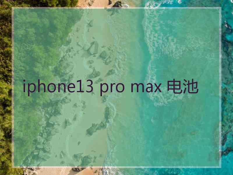 iphone13 pro max 电池