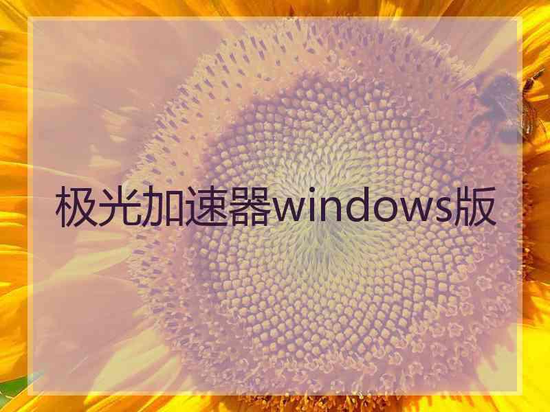 极光加速器windows版