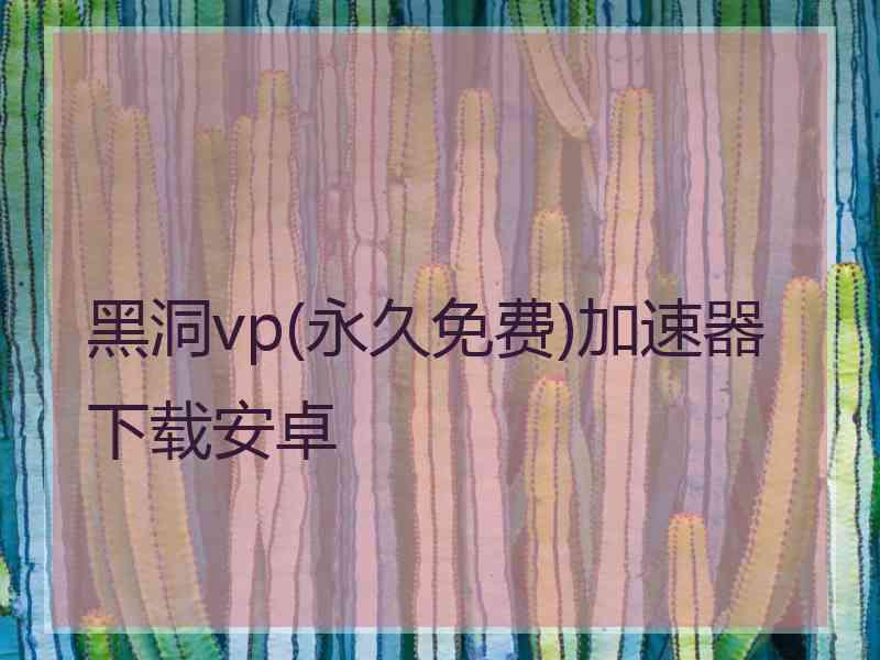 黑洞vp(永久免费)加速器下载安卓