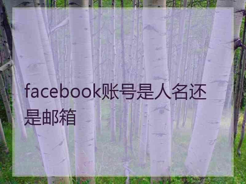 facebook账号是人名还是邮箱