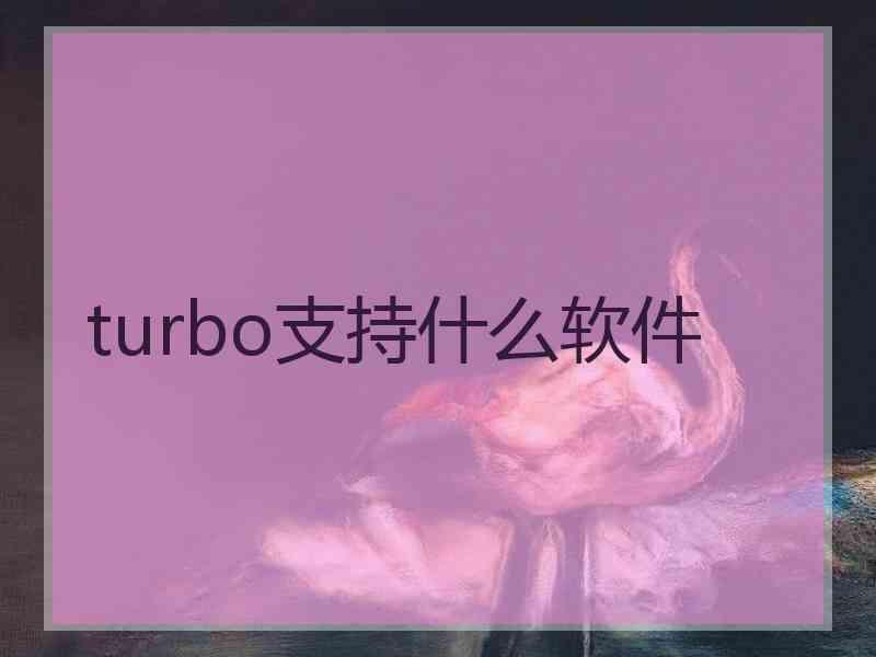 turbo支持什么软件