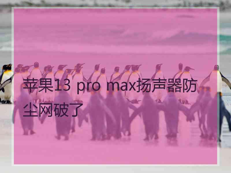 苹果13 pro max扬声器防尘网破了