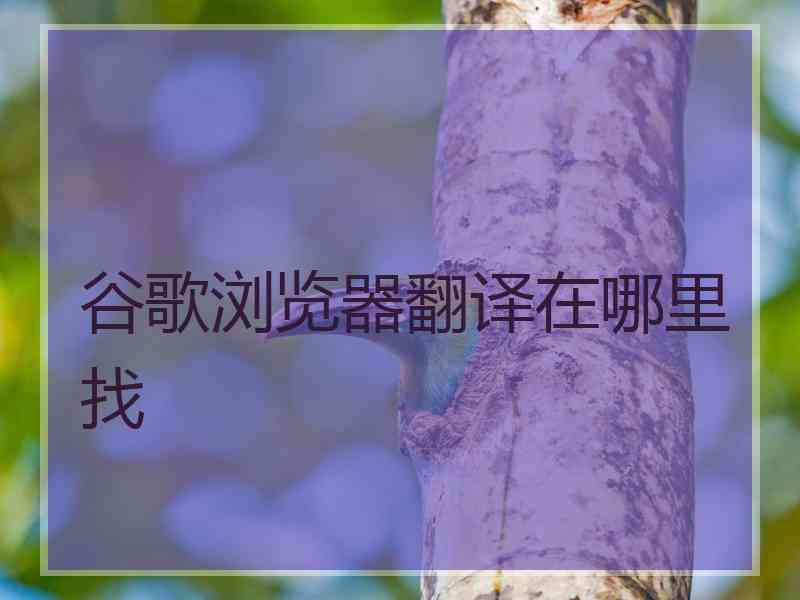 谷歌浏览器翻译在哪里找