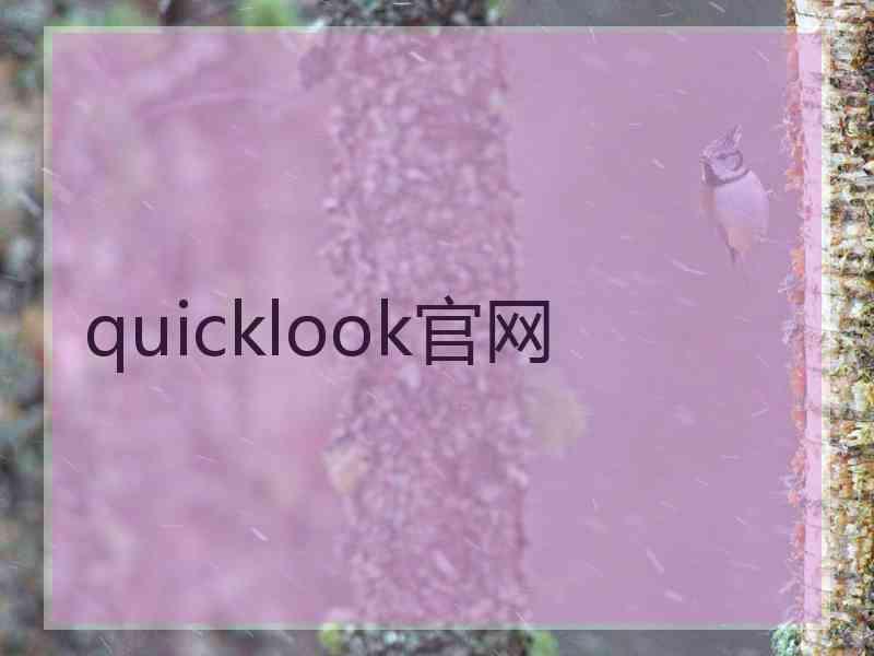 quicklook官网