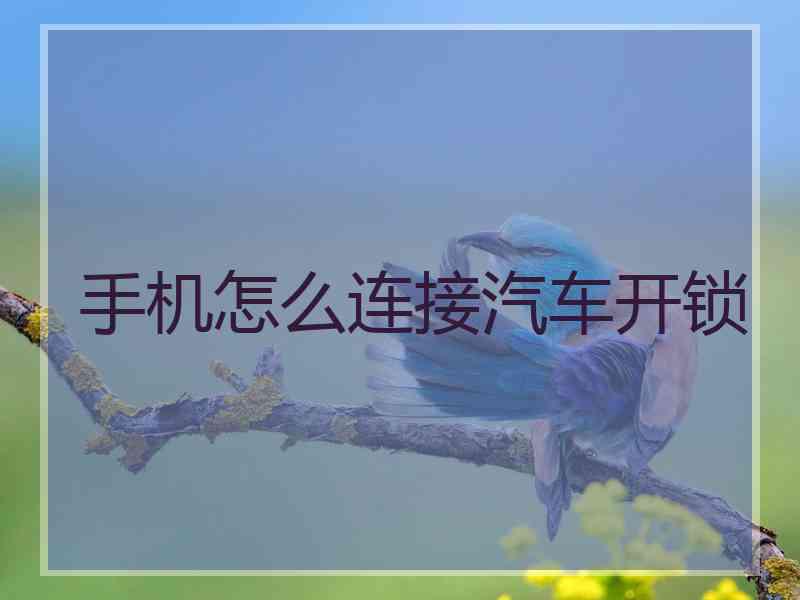 手机怎么连接汽车开锁