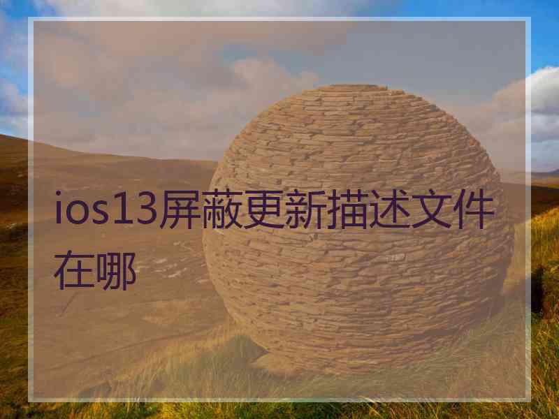 ios13屏蔽更新描述文件在哪