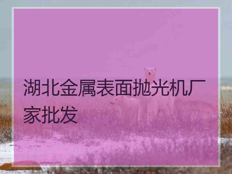 湖北金属表面抛光机厂家批发