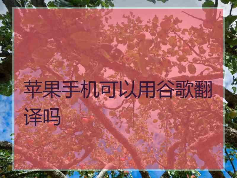 苹果手机可以用谷歌翻译吗