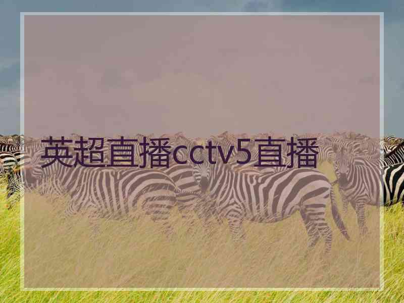 英超直播cctv5直播