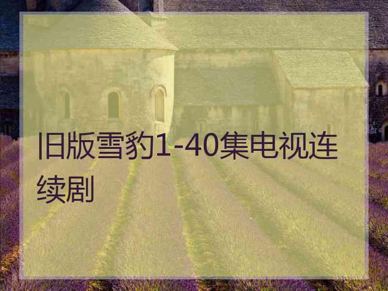 旧版雪豹1-40集电视连续剧