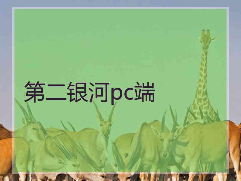 第二银河pc端