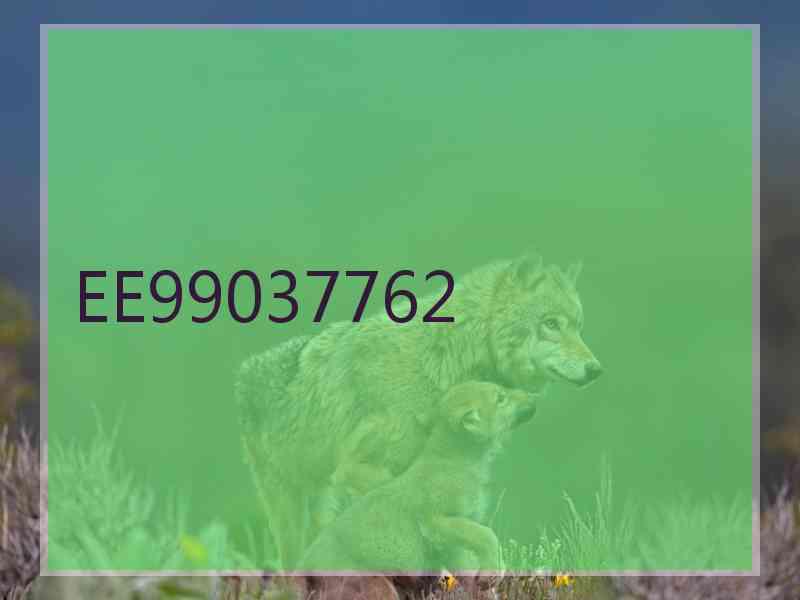 EE99037762