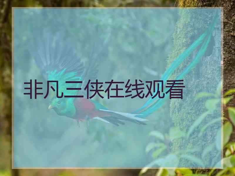 非凡三侠在线观看