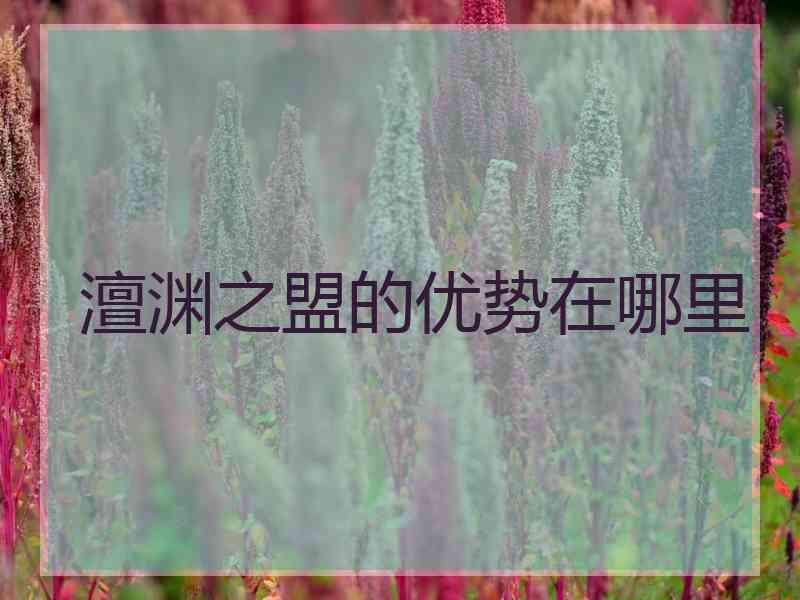 澶渊之盟的优势在哪里