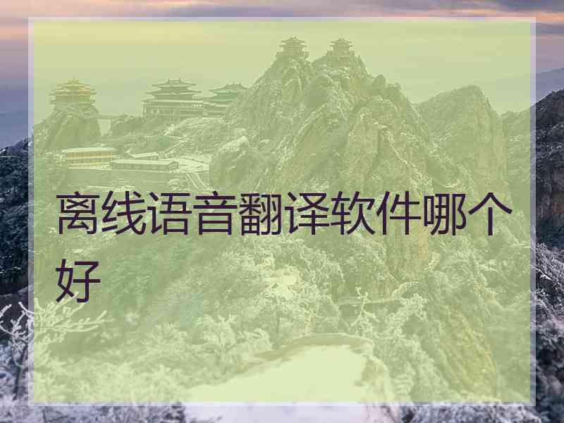 离线语音翻译软件哪个好