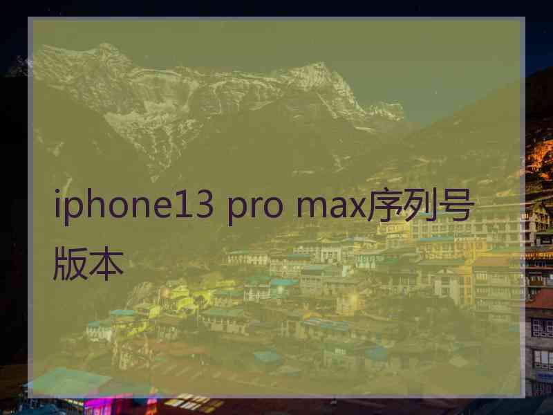 iphone13 pro max序列号版本