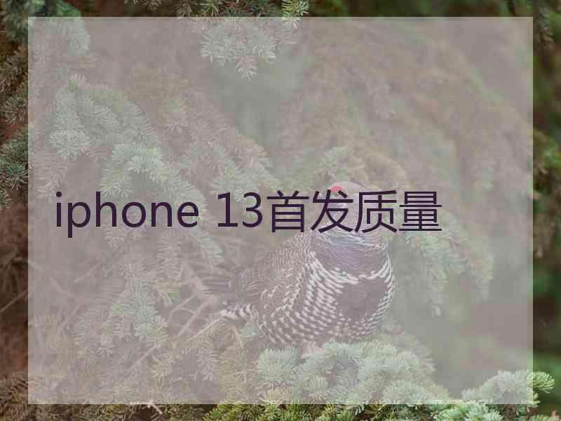 iphone 13首发质量