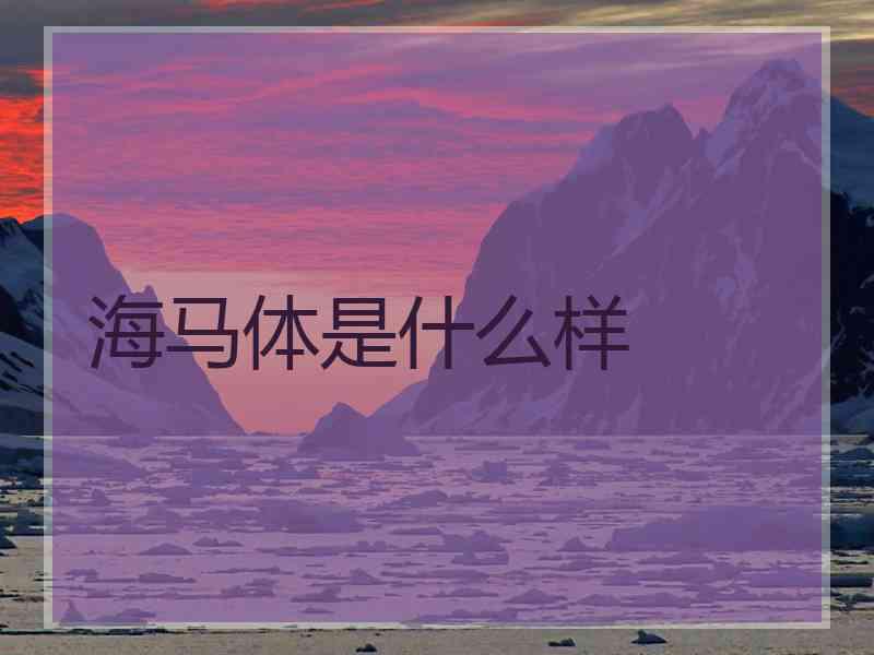 海马体是什么样