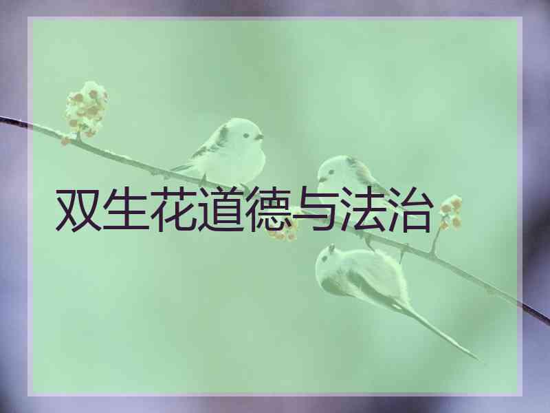 双生花道德与法治