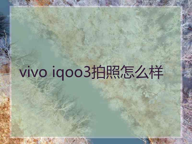 vivo iqoo3拍照怎么样