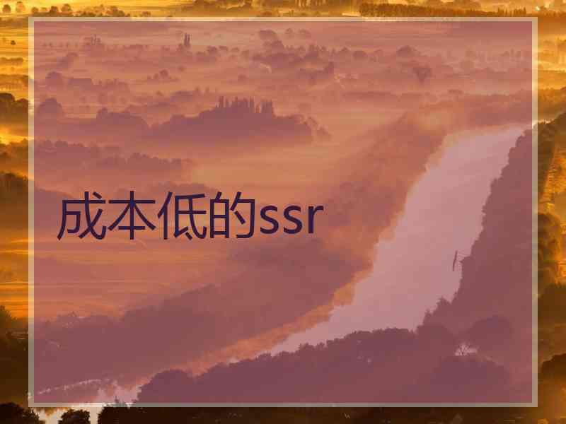 成本低的ssr