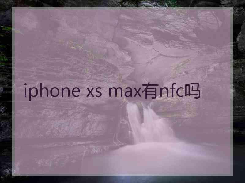 iphone xs max有nfc吗