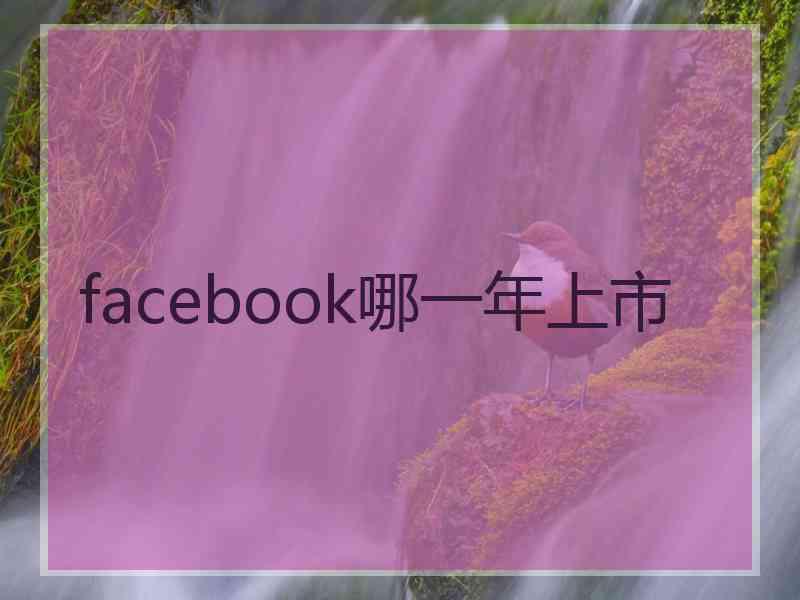 facebook哪一年上市