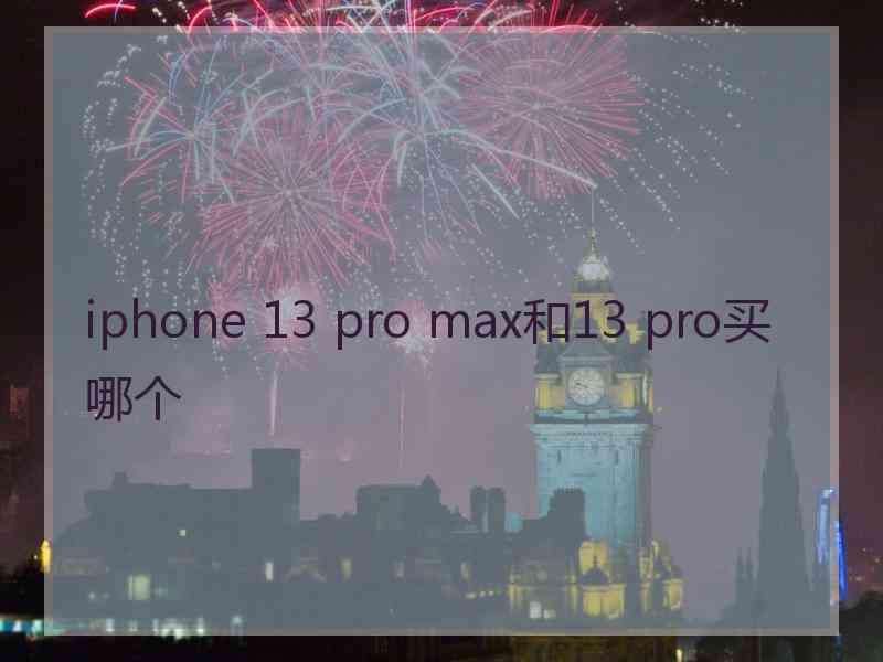 iphone 13 pro max和13 pro买哪个