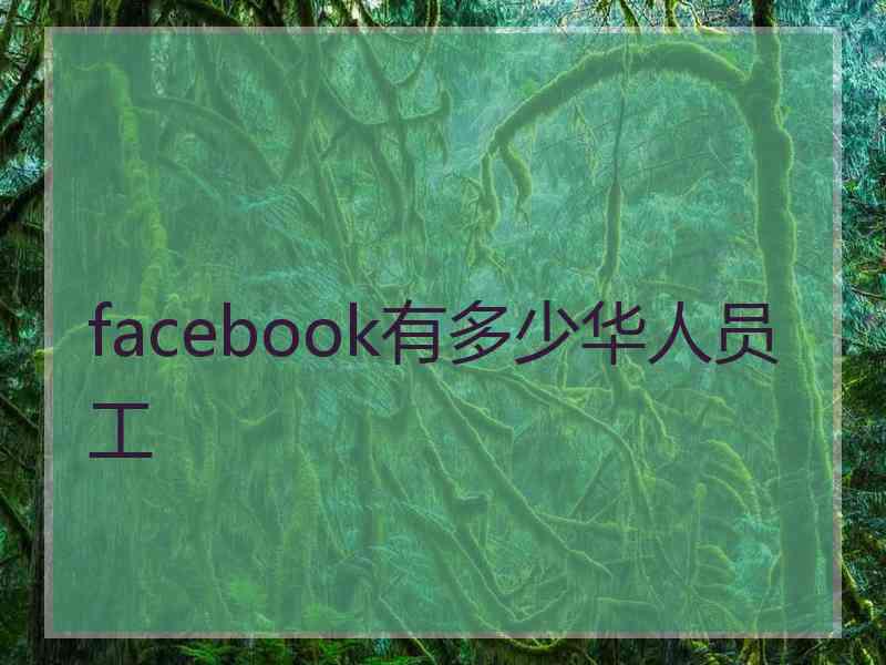 facebook有多少华人员工