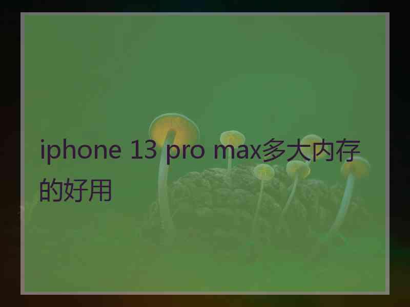 iphone 13 pro max多大内存的好用