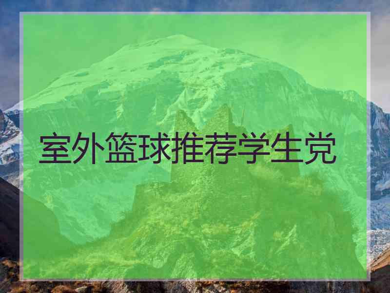 室外篮球推荐学生党