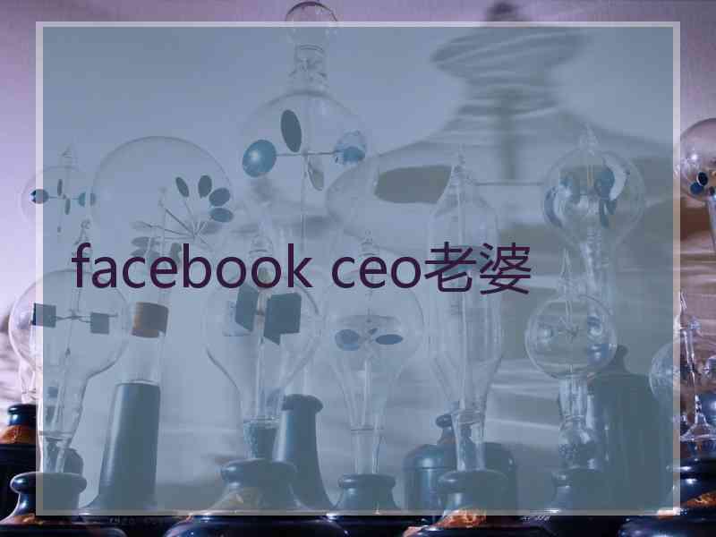 facebook ceo老婆