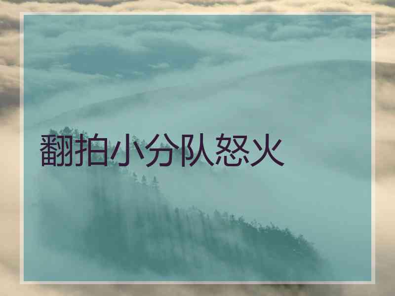 翻拍小分队怒火