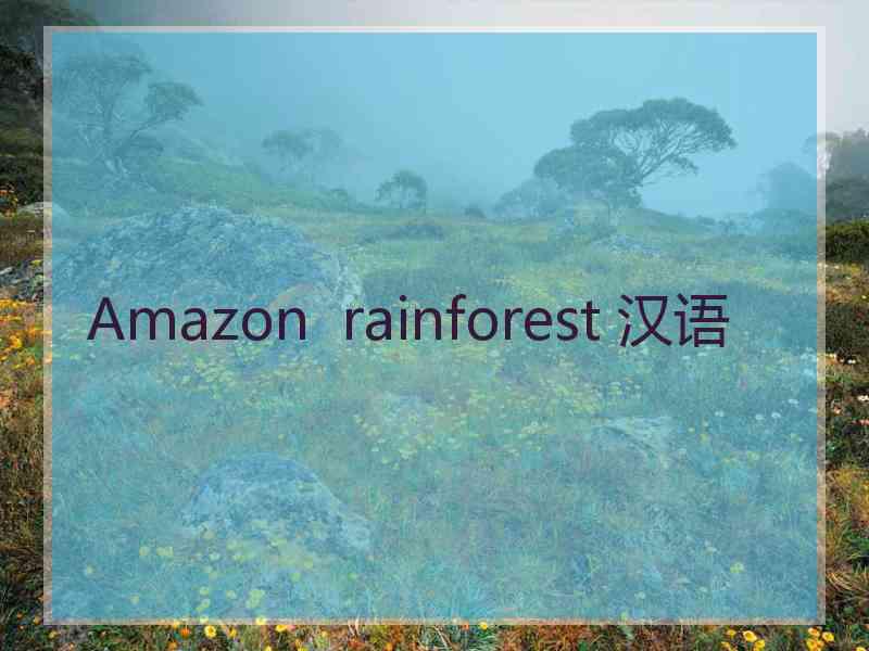 Amazon  rainforest 汉语