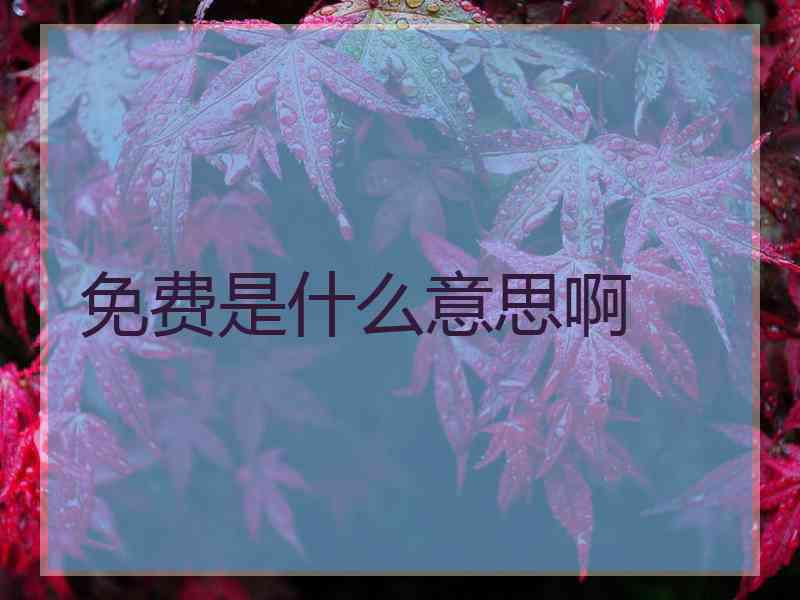 免费是什么意思啊