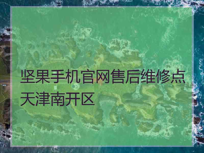 坚果手机官网售后维修点天津南开区