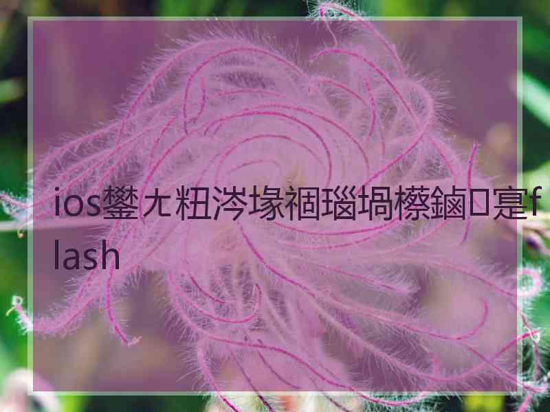 ios鐢ㄤ粈涔堟祻瑙堝櫒鏀寔flash