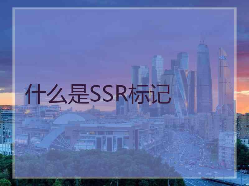 什么是SSR标记