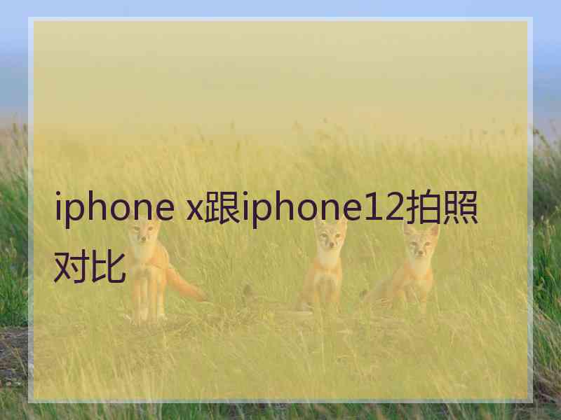 iphone x跟iphone12拍照对比