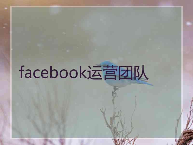 facebook运营团队