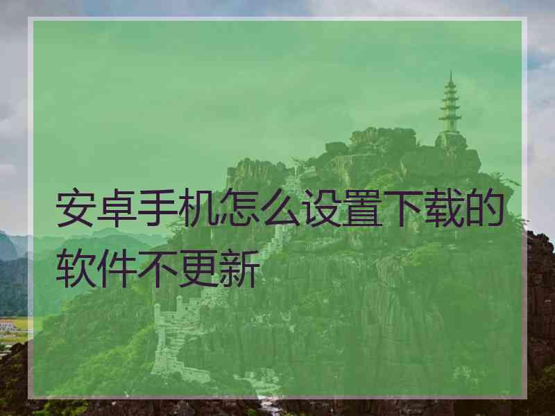 安卓手机怎么设置下载的软件不更新