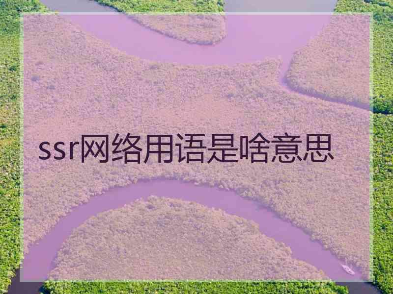 ssr网络用语是啥意思